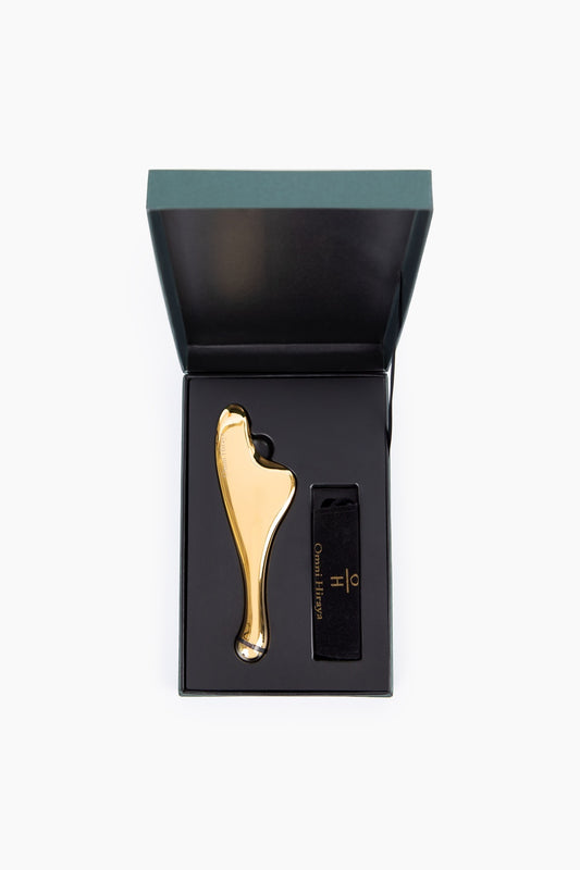 Ginto Facial Sculpting Tool